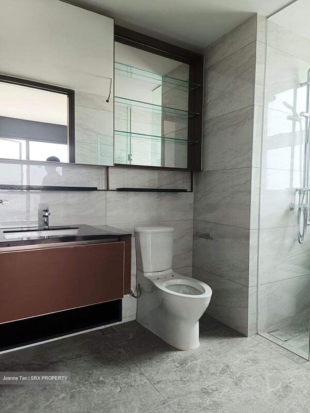 Normanton Park (D5), Apartment #459242221